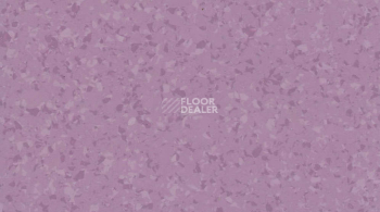 Линолеум Gerflor Mipolam Symbioz 6048 LAVENDER фото 1 | FLOORDEALER